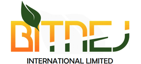 BITNEJ INTERNATIONAL LIMITED